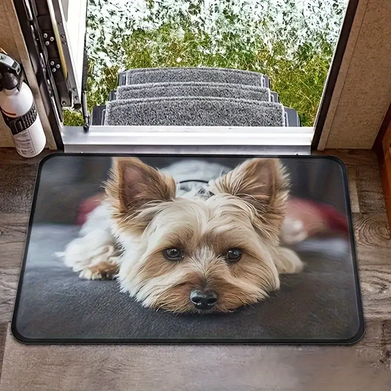 Anti-Slip Floor Mat
